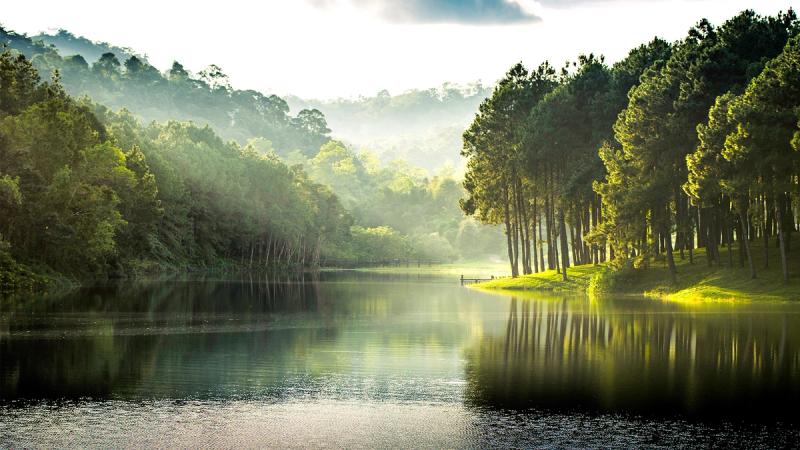 Верность Евангелию