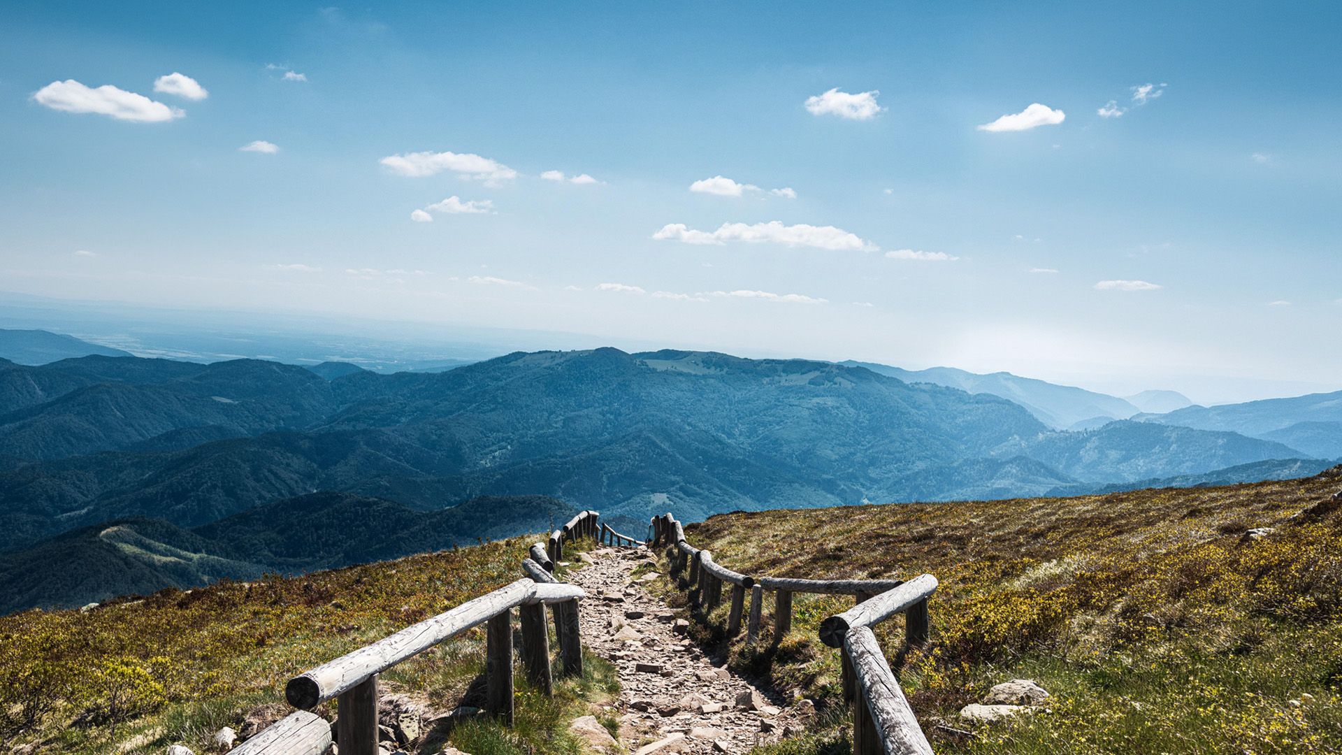 Promotional image for Сила кротости