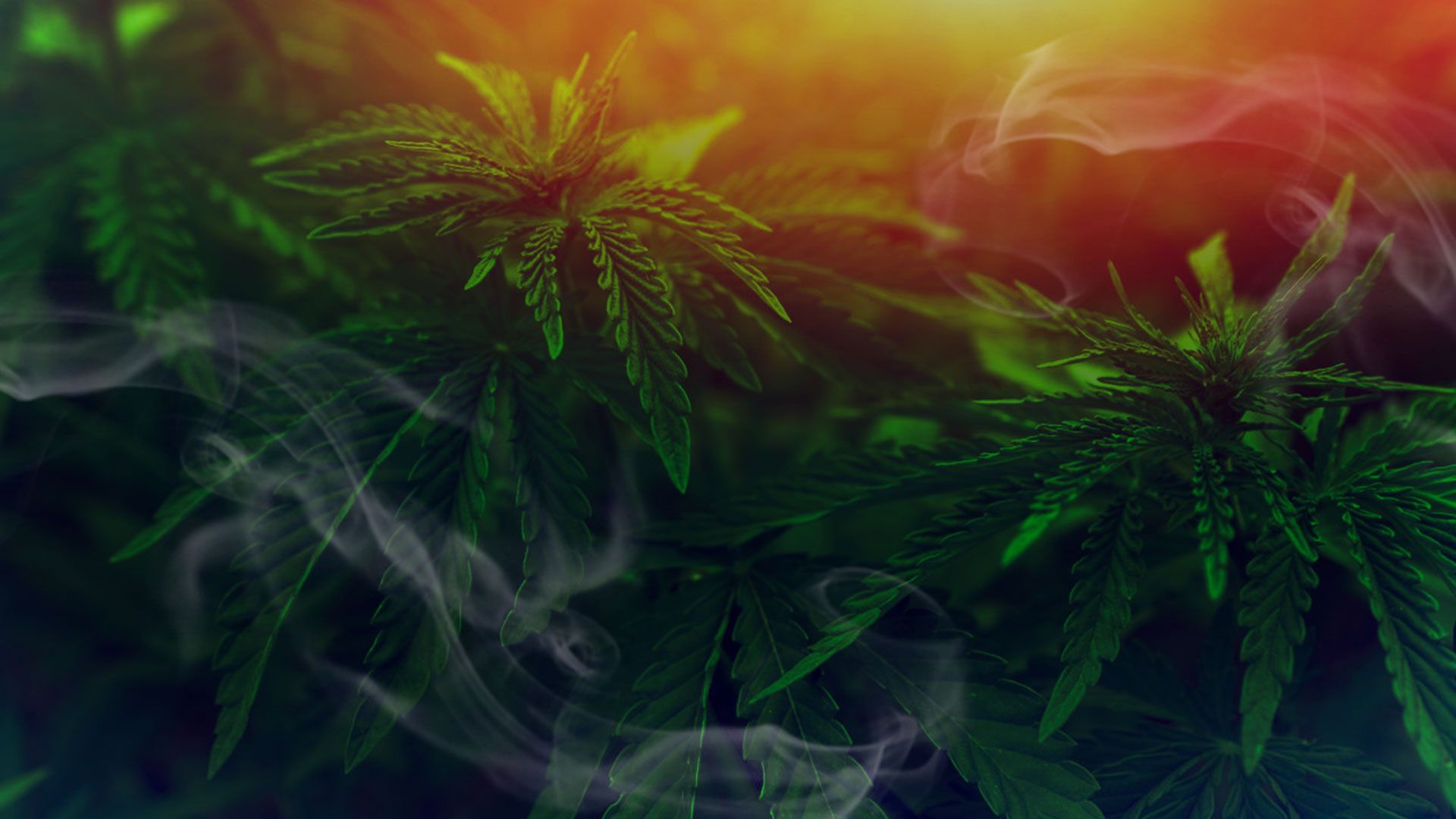 Promotional image for Грех ли курить марихуану?
