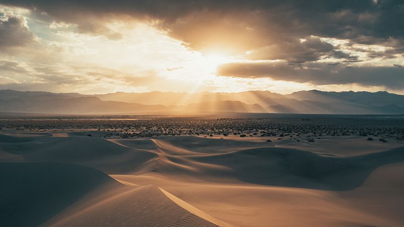 Проигранная борьба за послушание