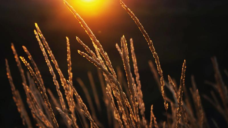 Как понимать разные по