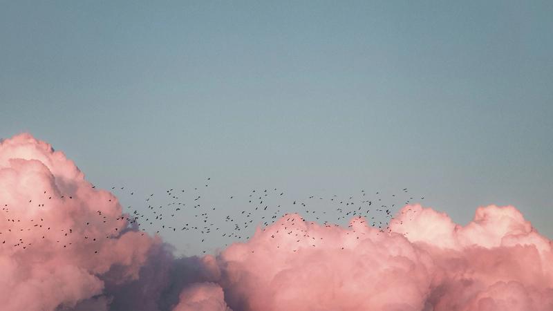 Должны ли члены церкви б