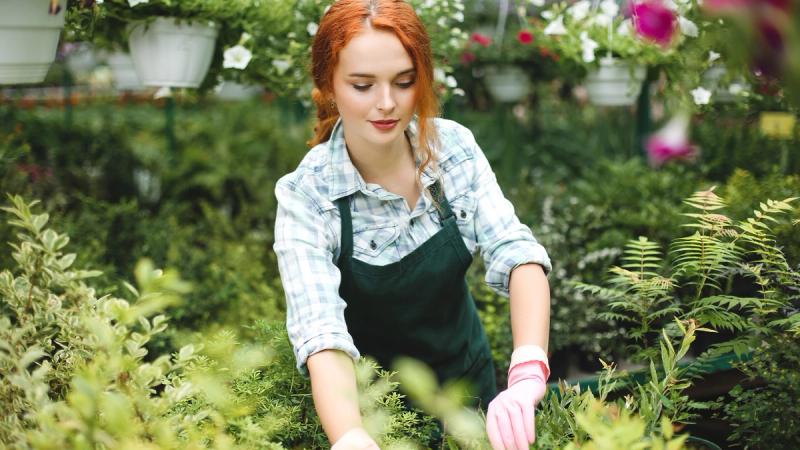 Можно ли работать в христианские празд