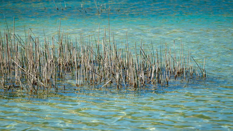Нужно ли проход