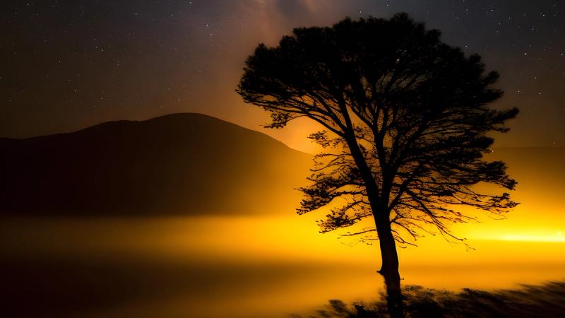 Если не я, то кто?