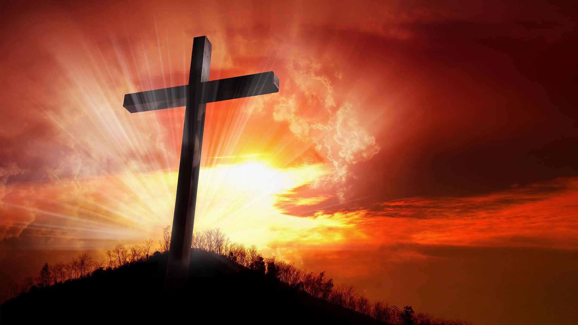 Promotional image for Доказательства Христова воскресения