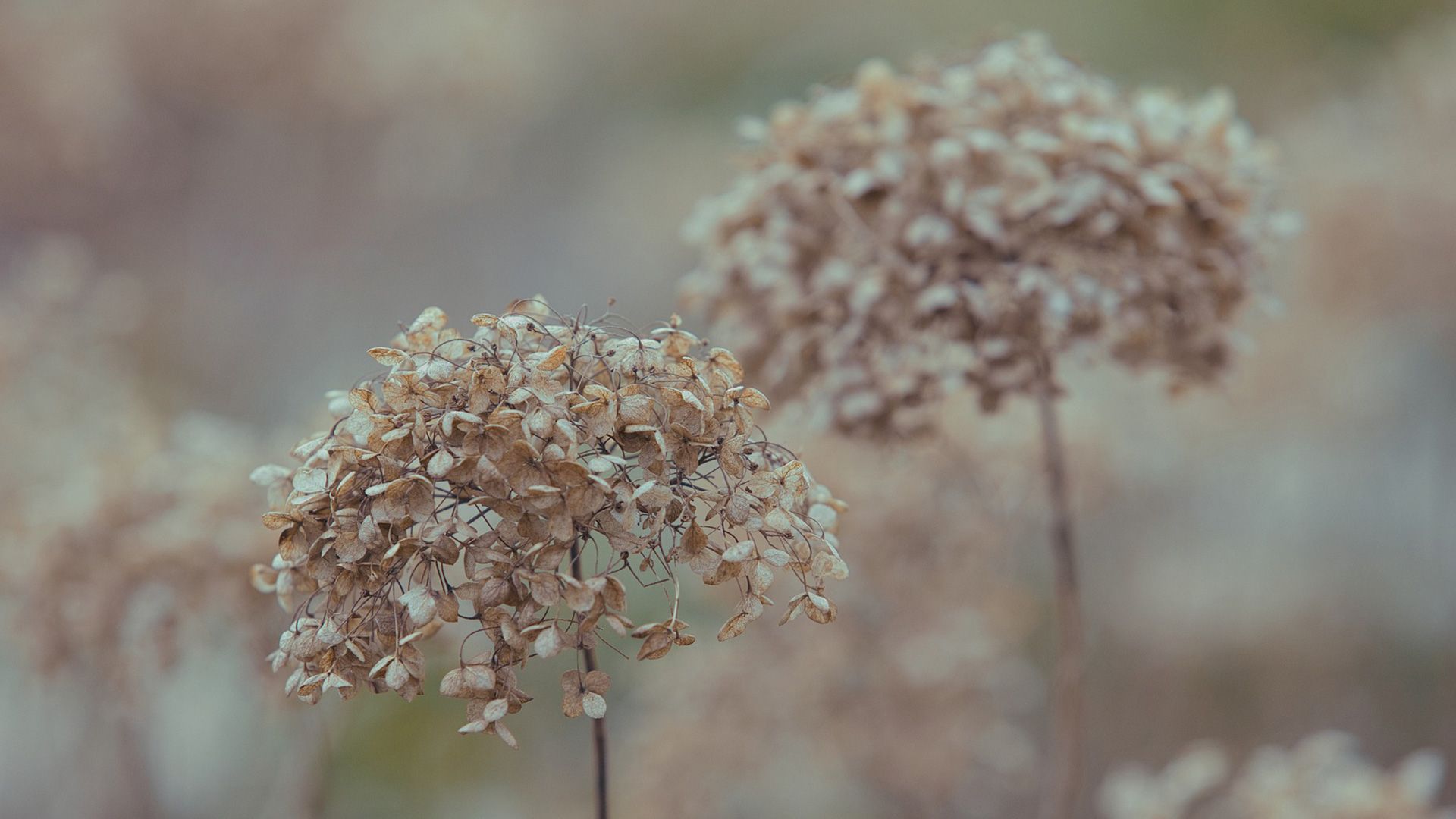 Promotional image for Что значит «ученик не бывает выше учителя»?