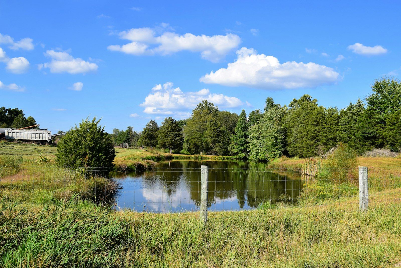 a pond in the middle of a grassy field
