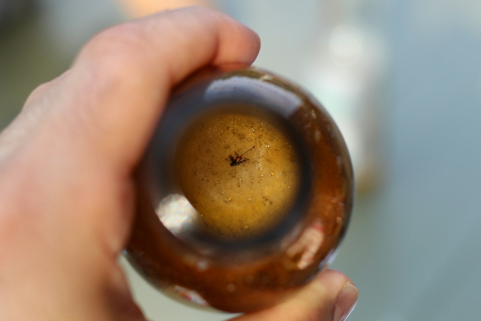 a person holding a round object