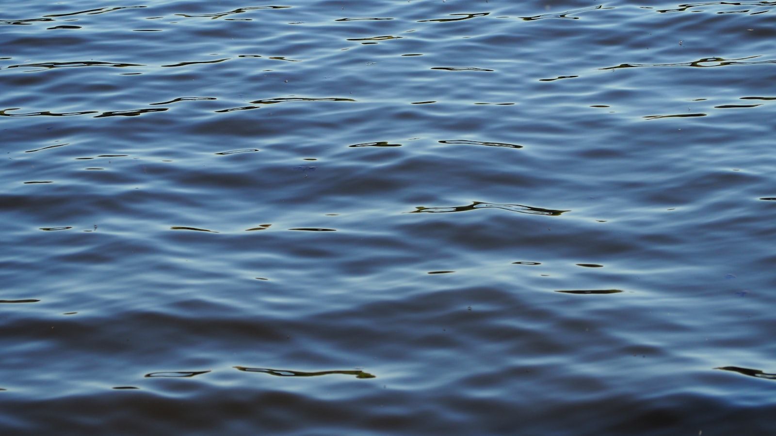 Rippling blue water surface with light reflections