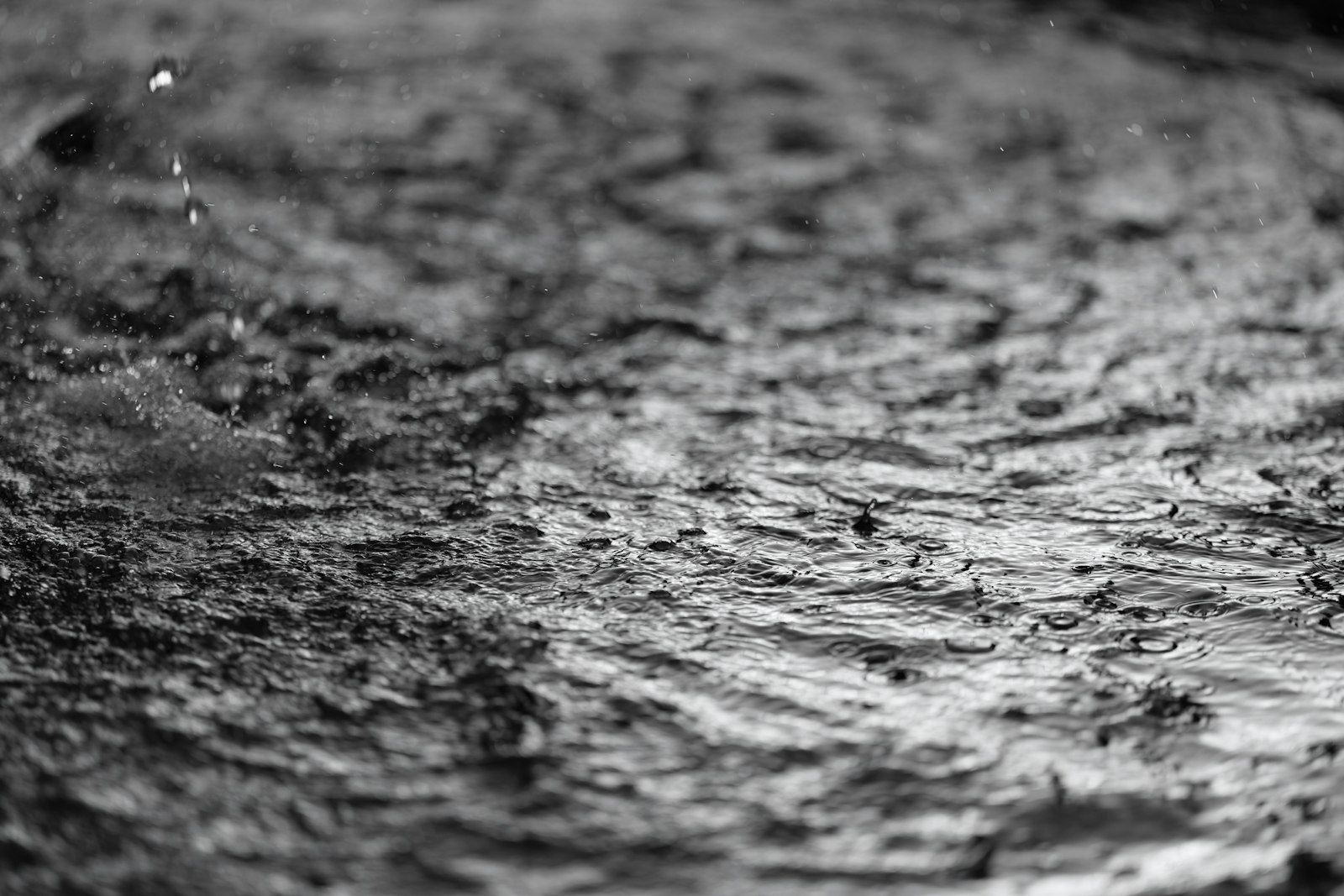 Raindrops creating ripples on a dark, textured surface