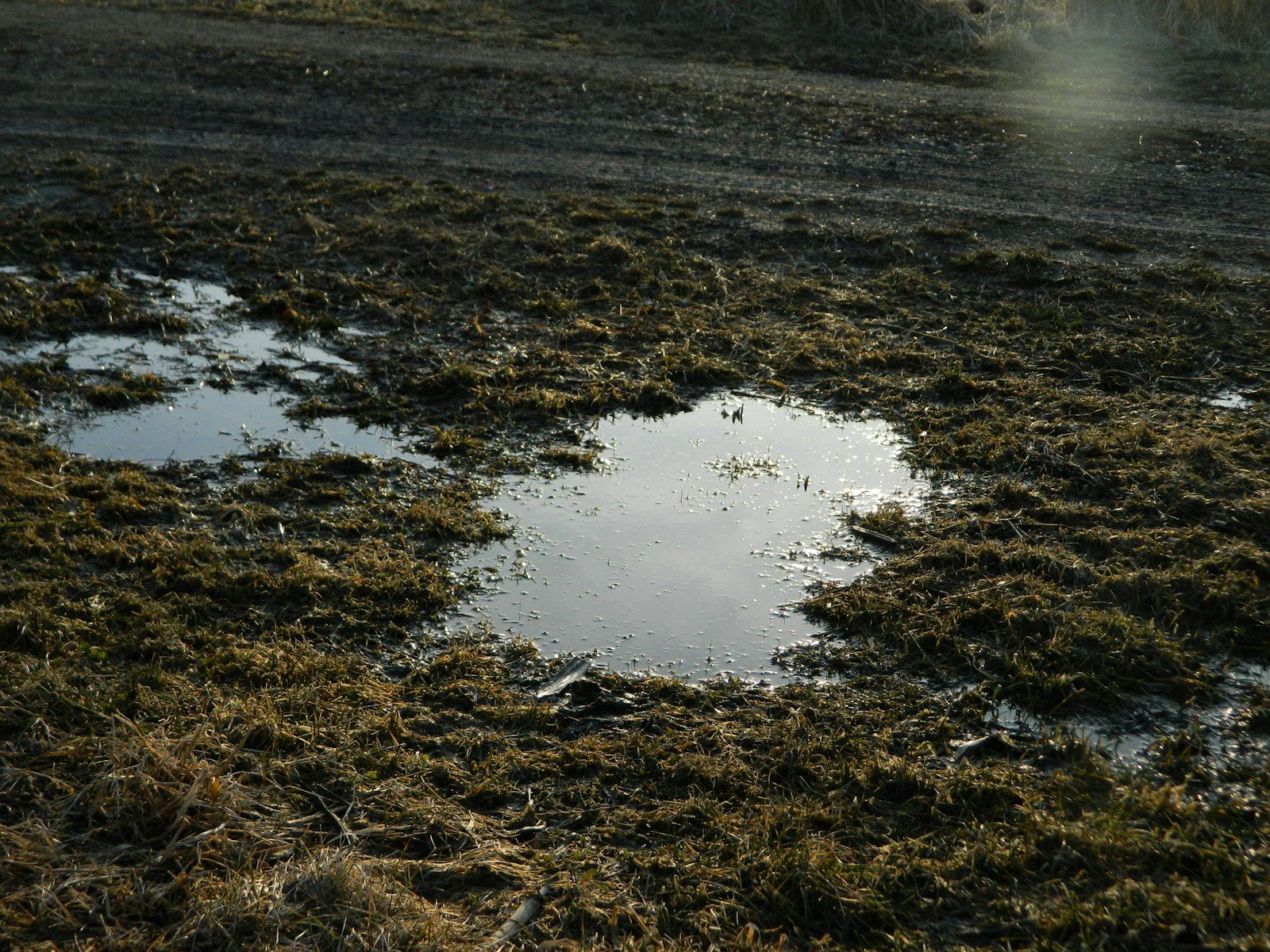 a puddle of water sitting in the middle of a field