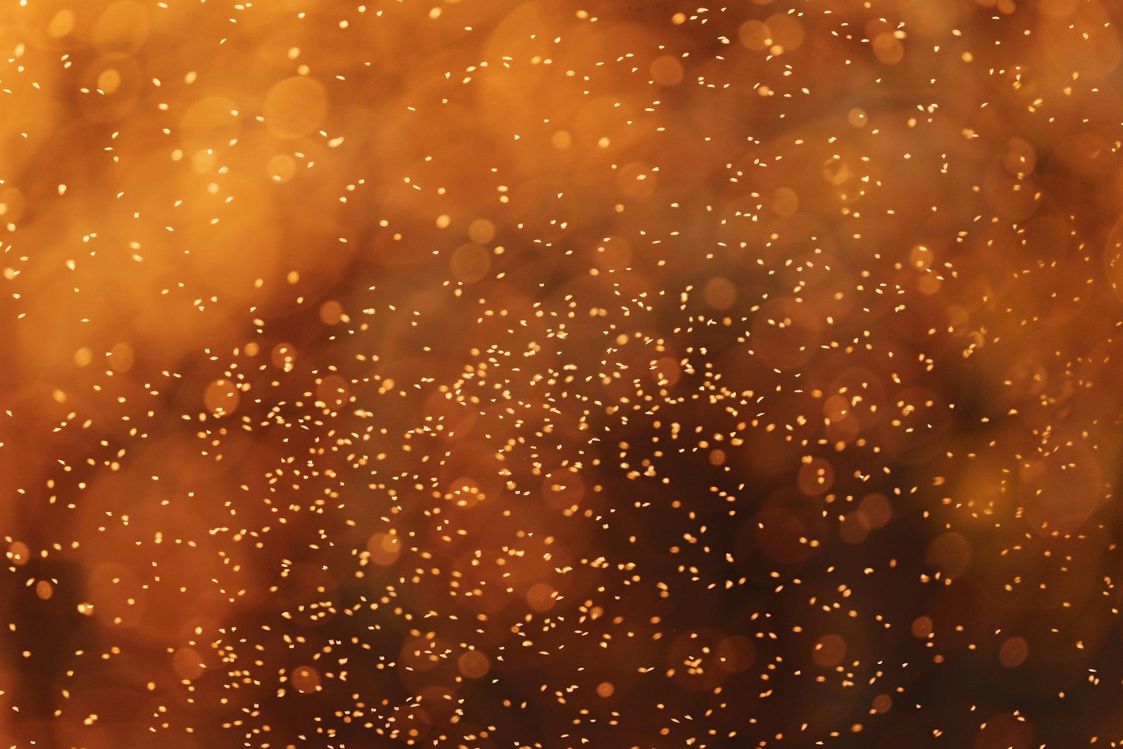 Numerous small bubbles rise in a warm, golden-brown liquid