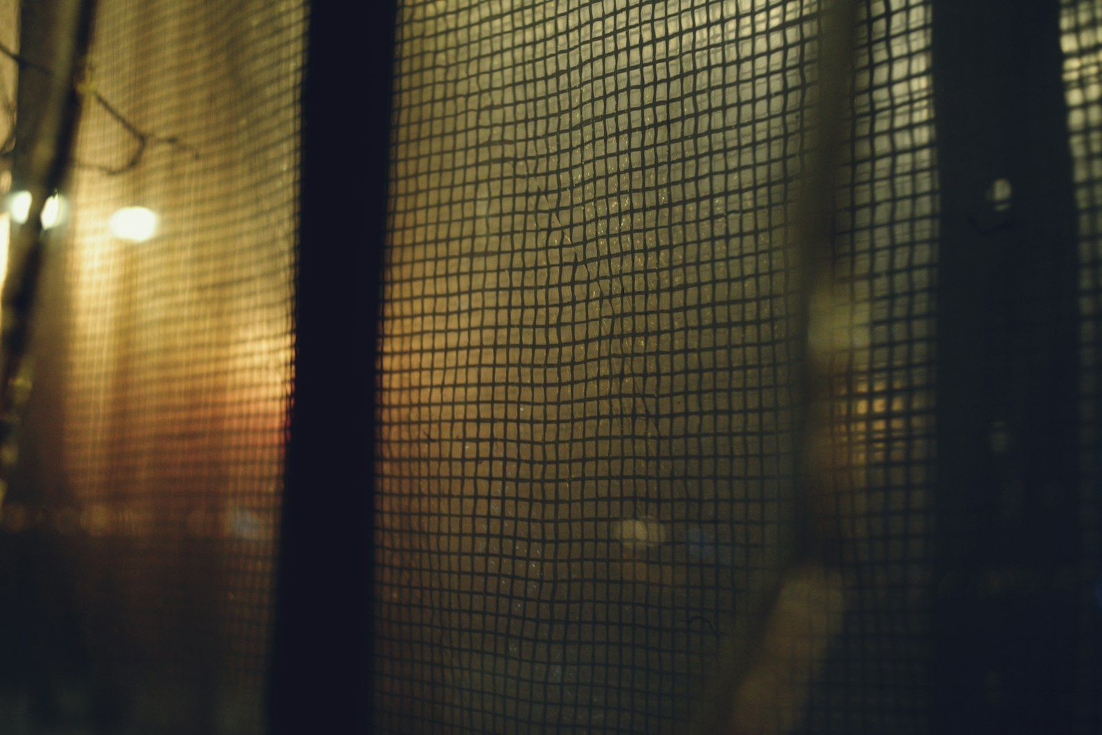 Blurred lights seen through a window screen
