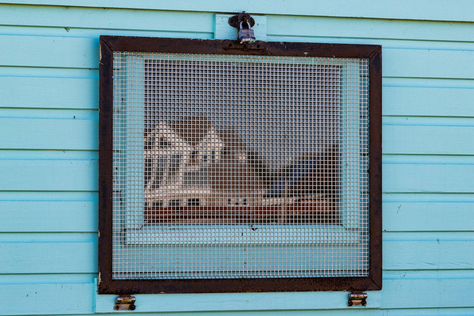 A blue building with a window and a sign on it