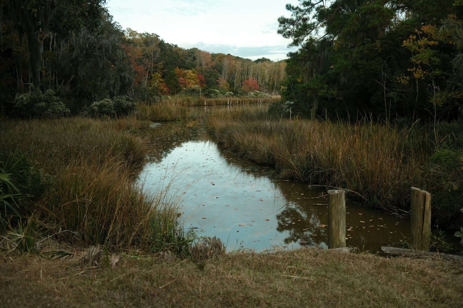 a body of water surrounded by trees and grass