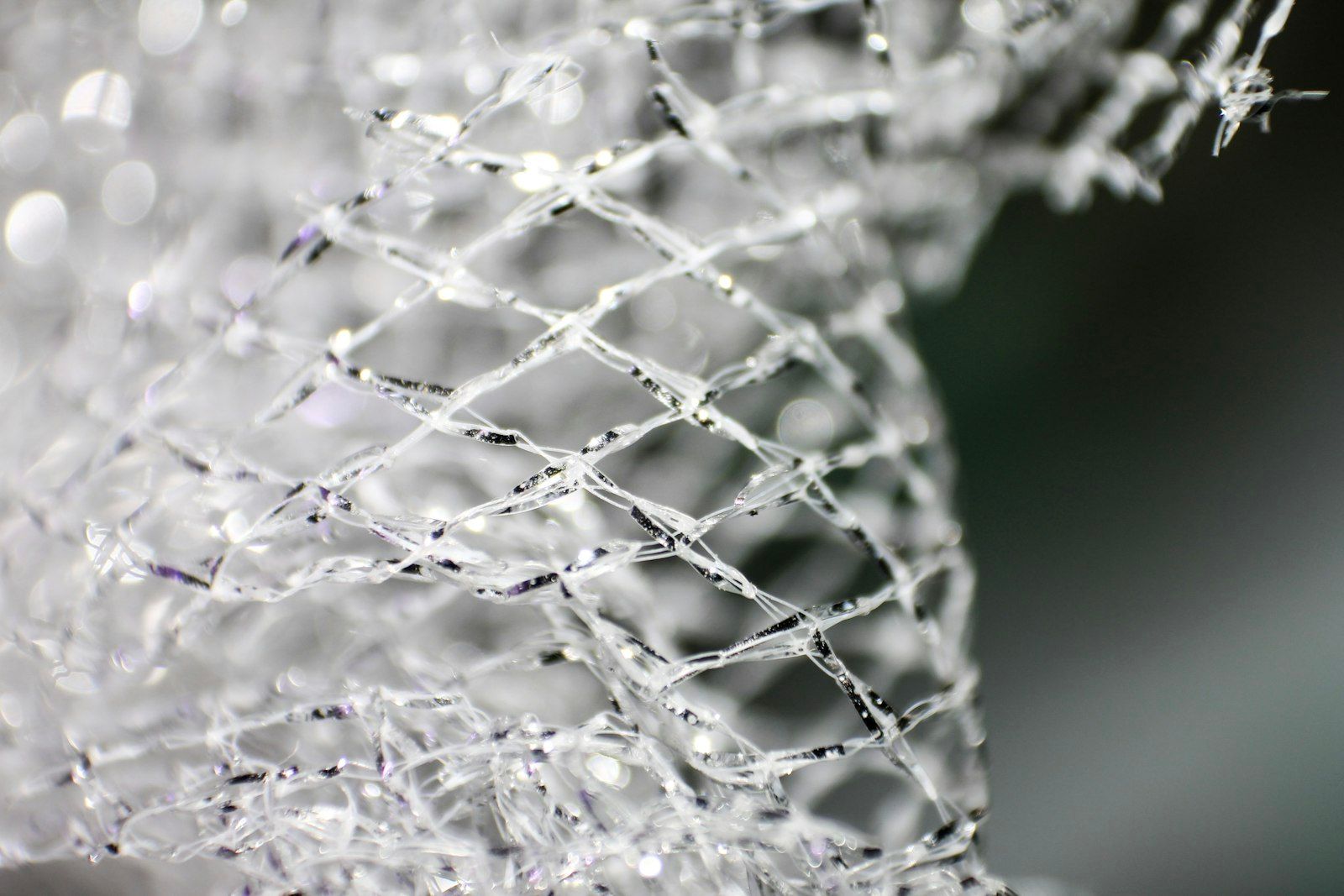 a close up of a net with water droplets on it