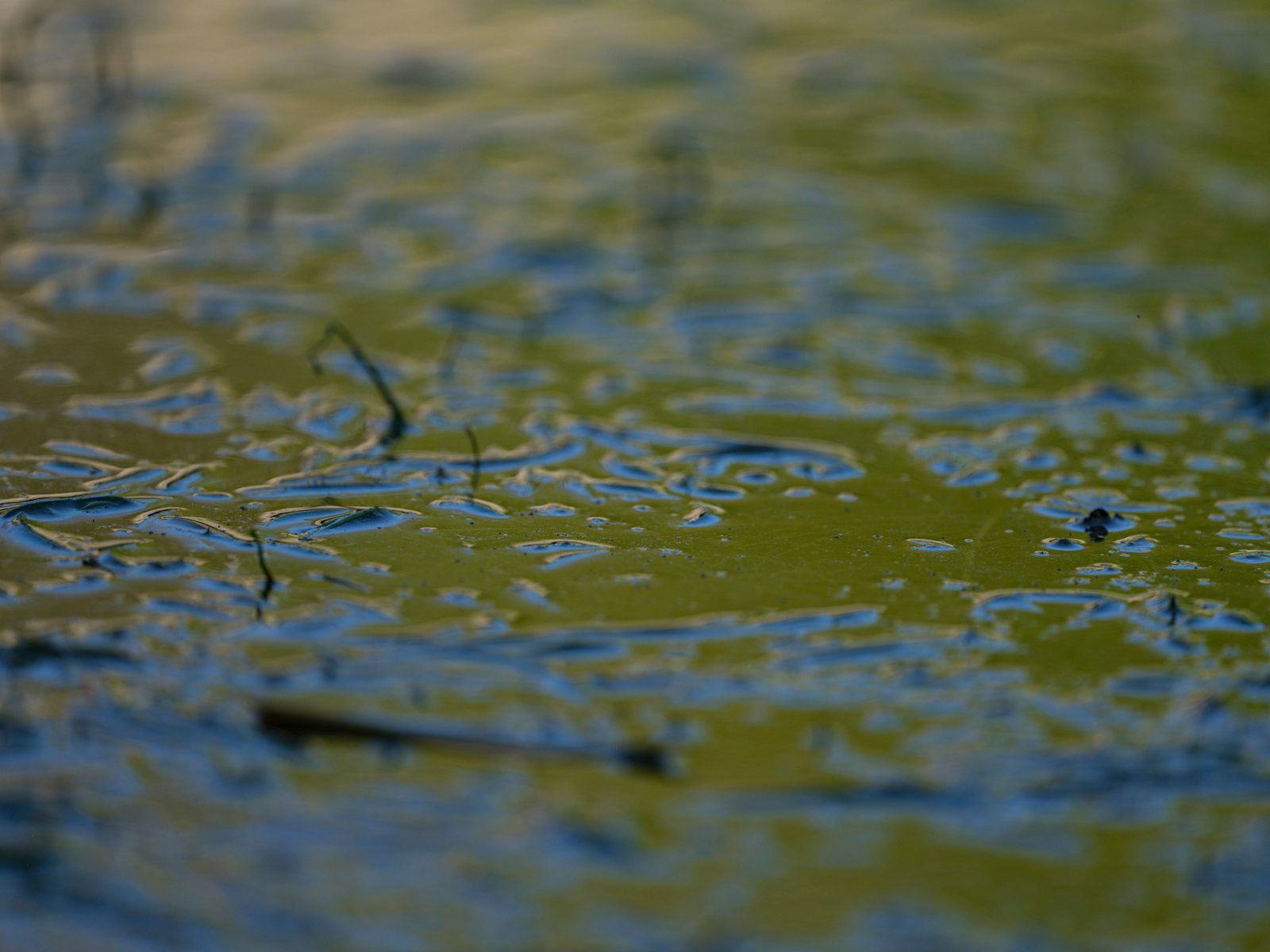 Water surface with yellow and blue reflections.