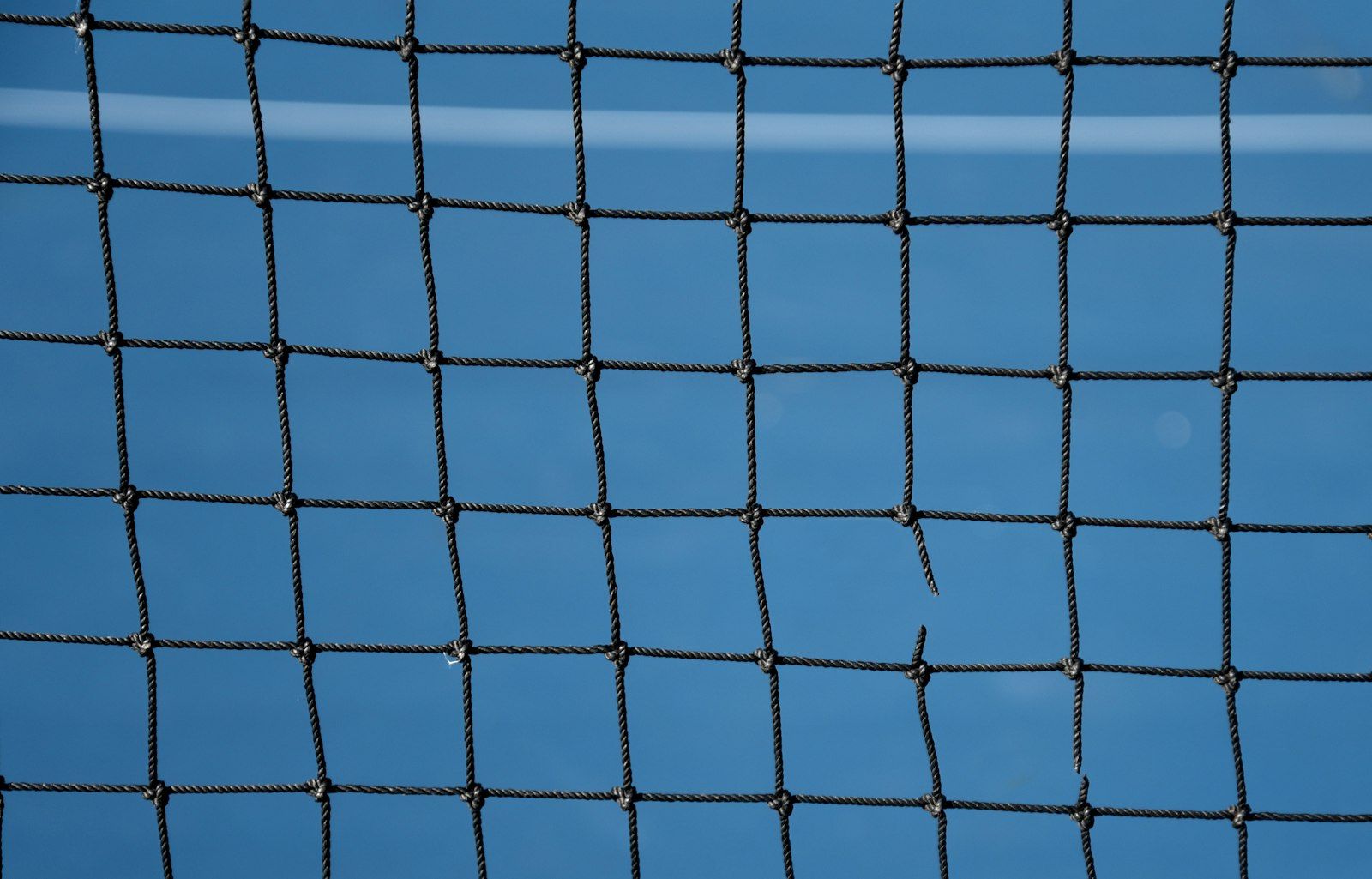 blue net