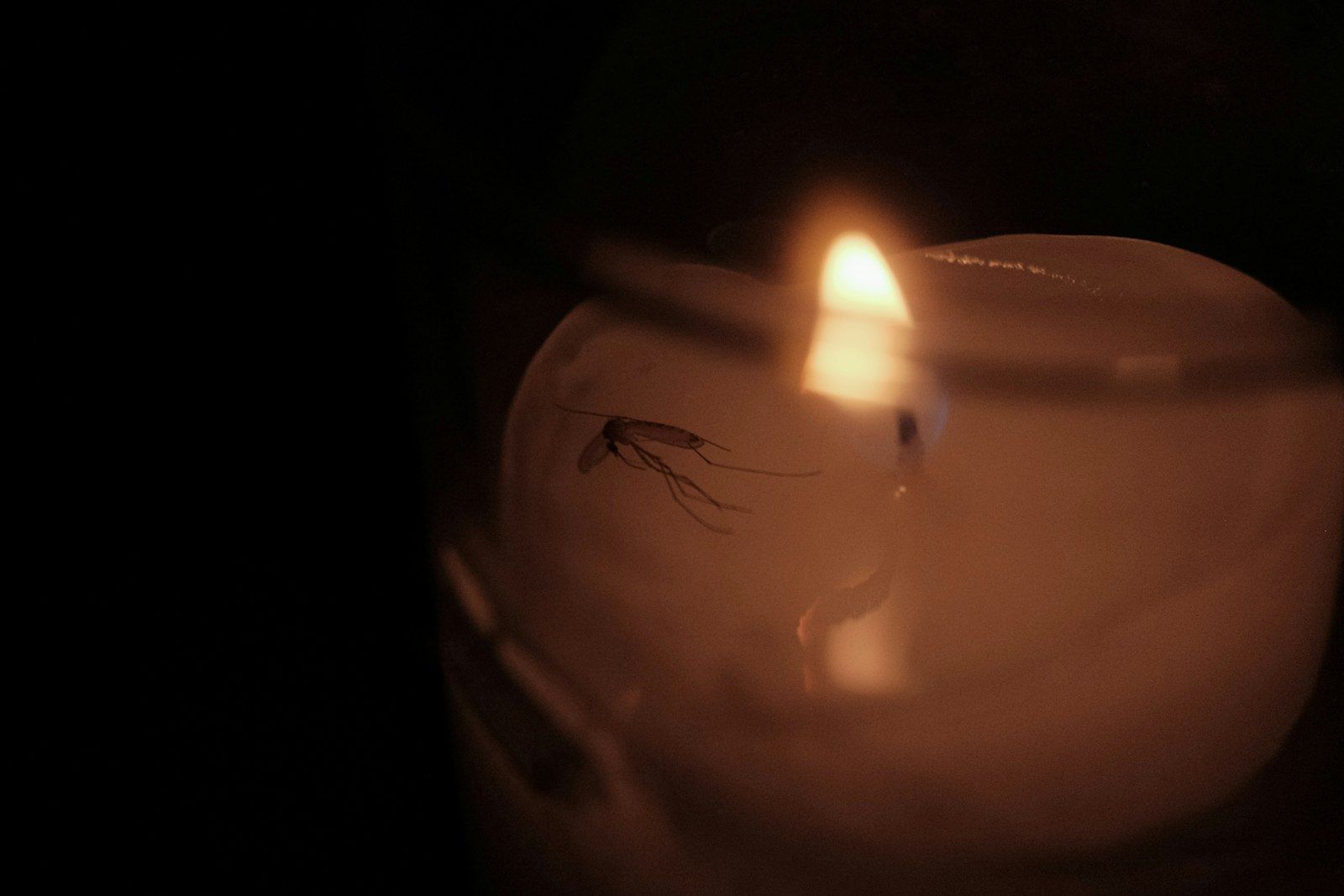 A lit candle with a dark background