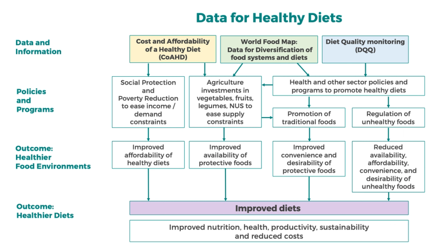 Data for Healthy Diets Framework