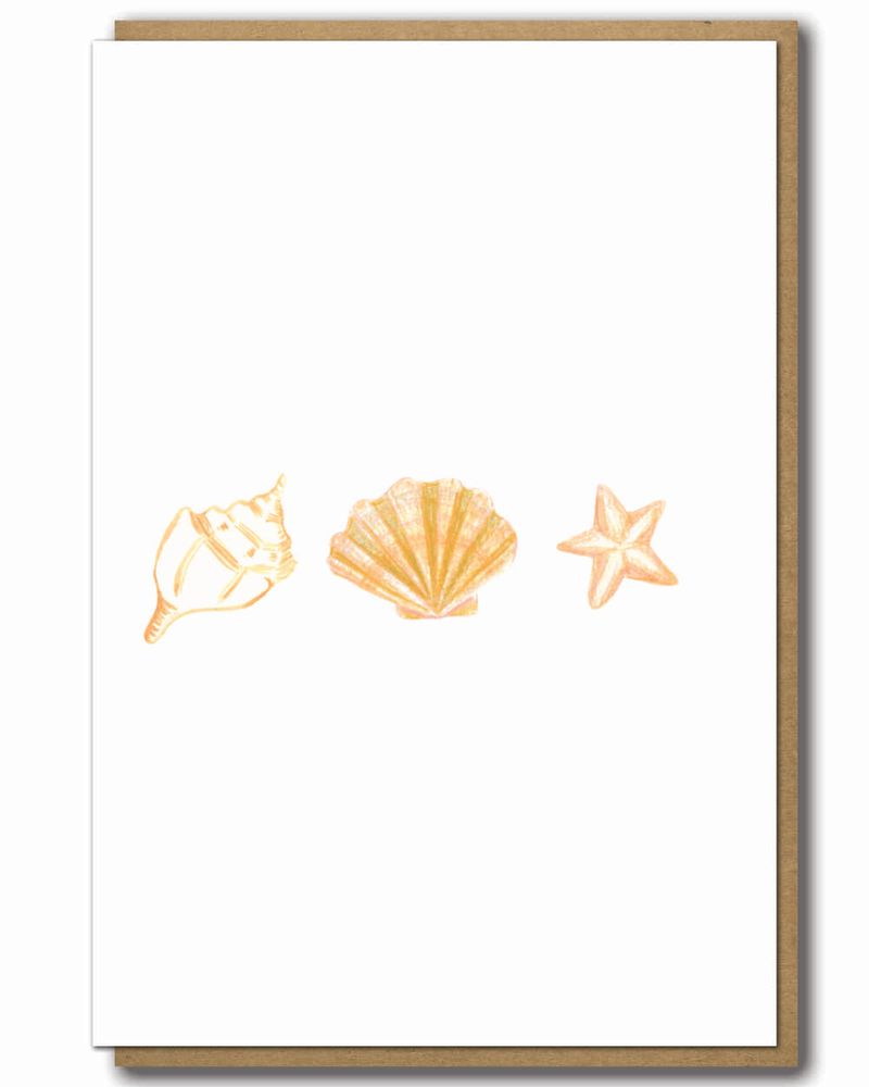 Greeting Card Three Shells with a brown paper envelope