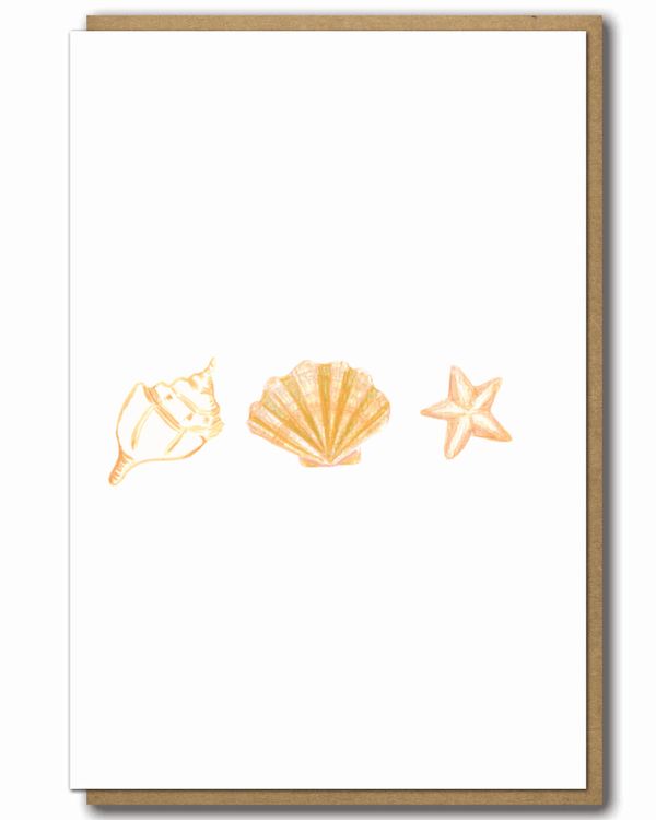 Greeting Card Three Shells with a brown paper envelope