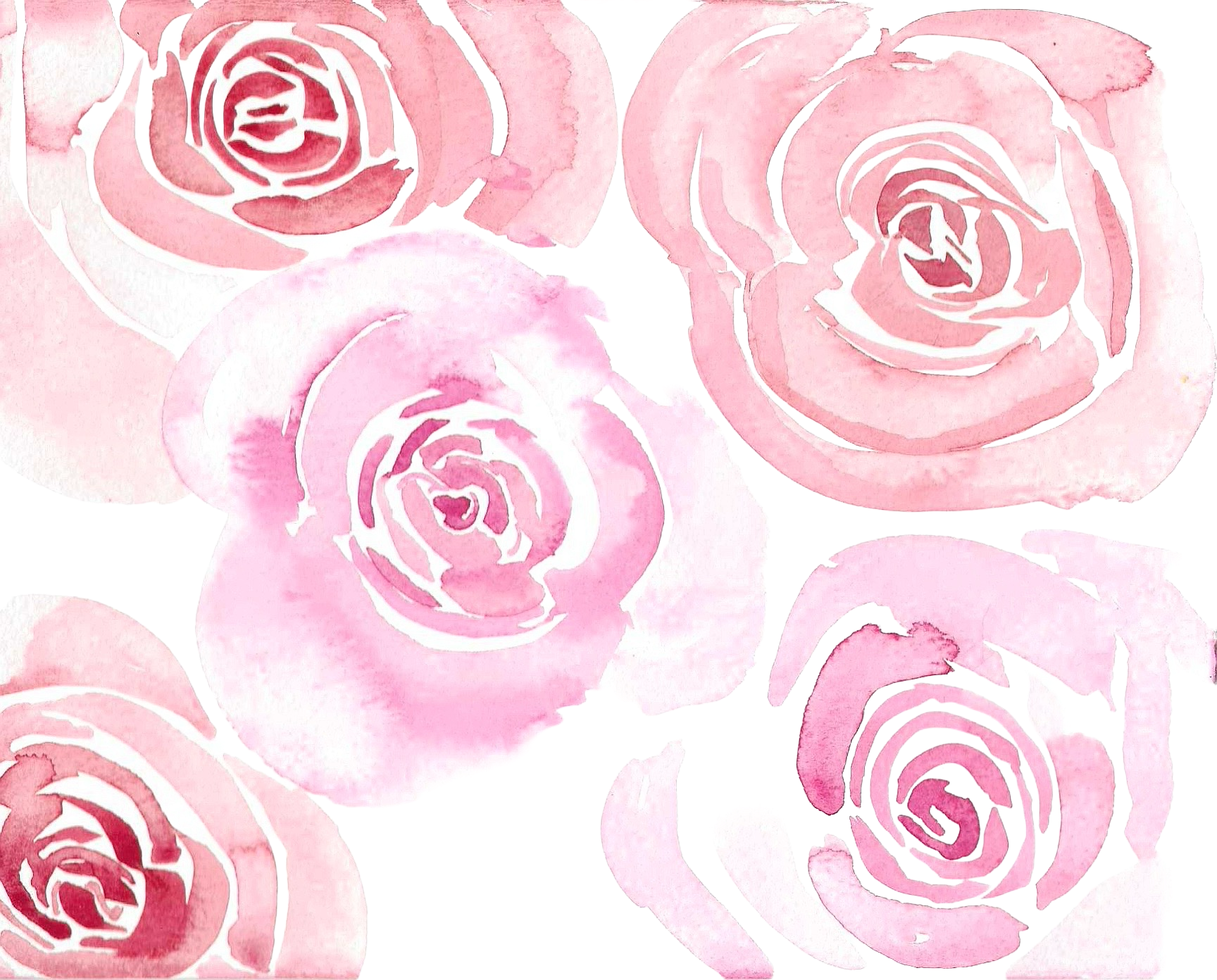 watercolour pink roses