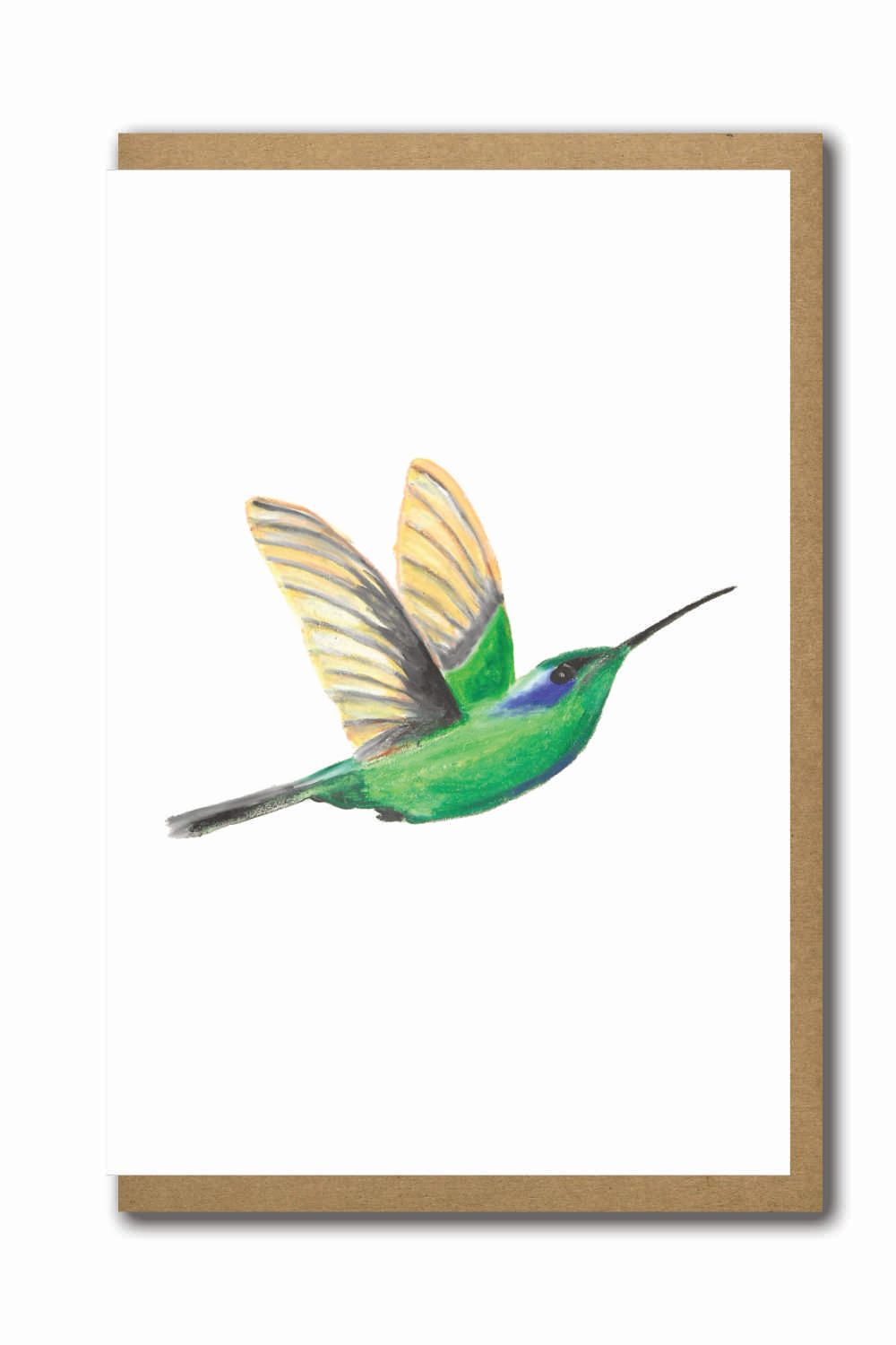 Greeting Cards Birds Humming Bird