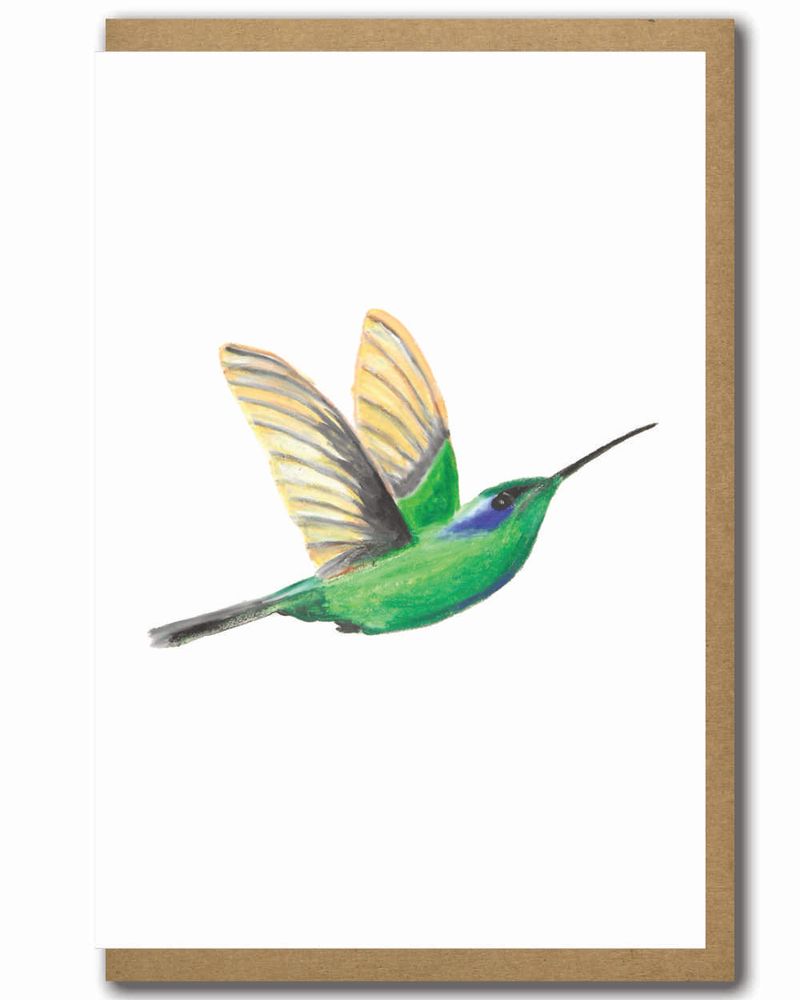 Greeting Cards Birds Humming Bird