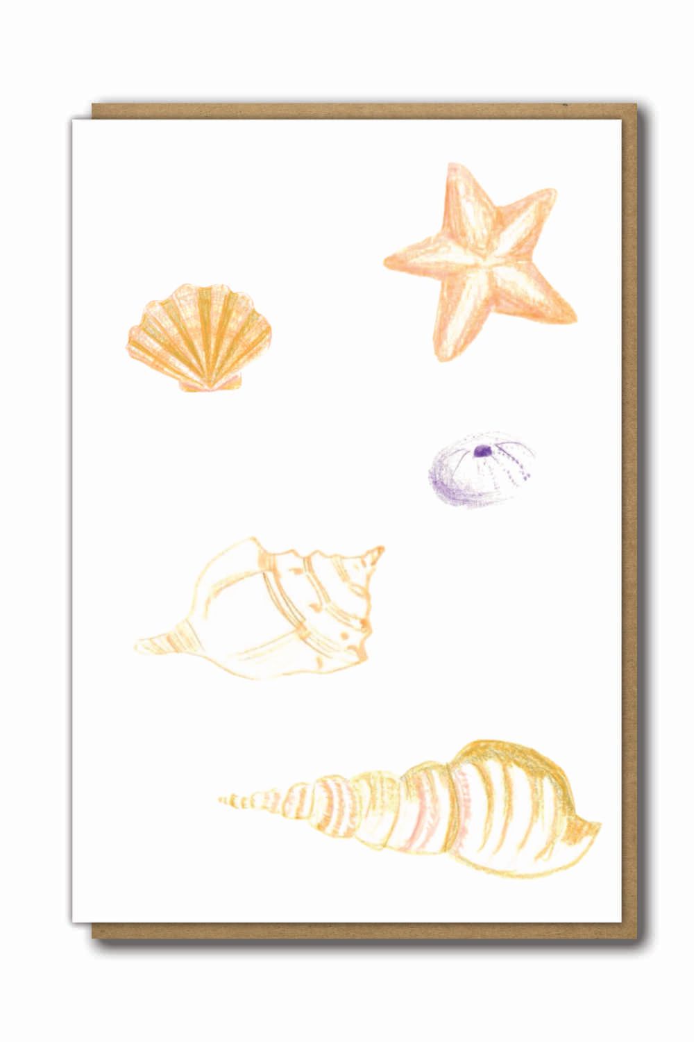 Greeting Card Sea Shells with a brown paper envelope