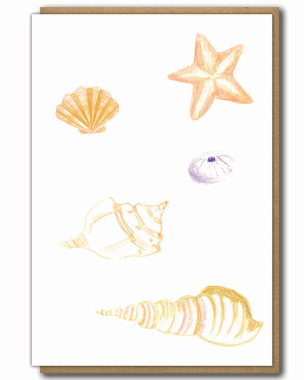 Greeting Card Sea Shells with a brown paper envelope