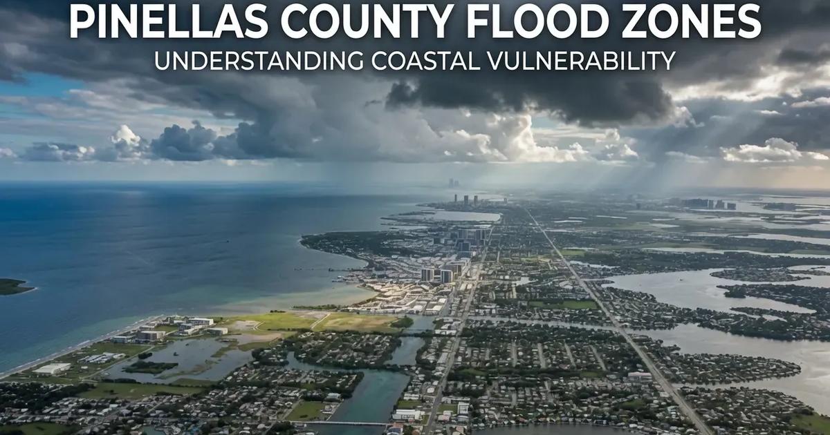 Pinellas County waterfront neighborhoods used for flood-zone and evacuation-zone due diligence