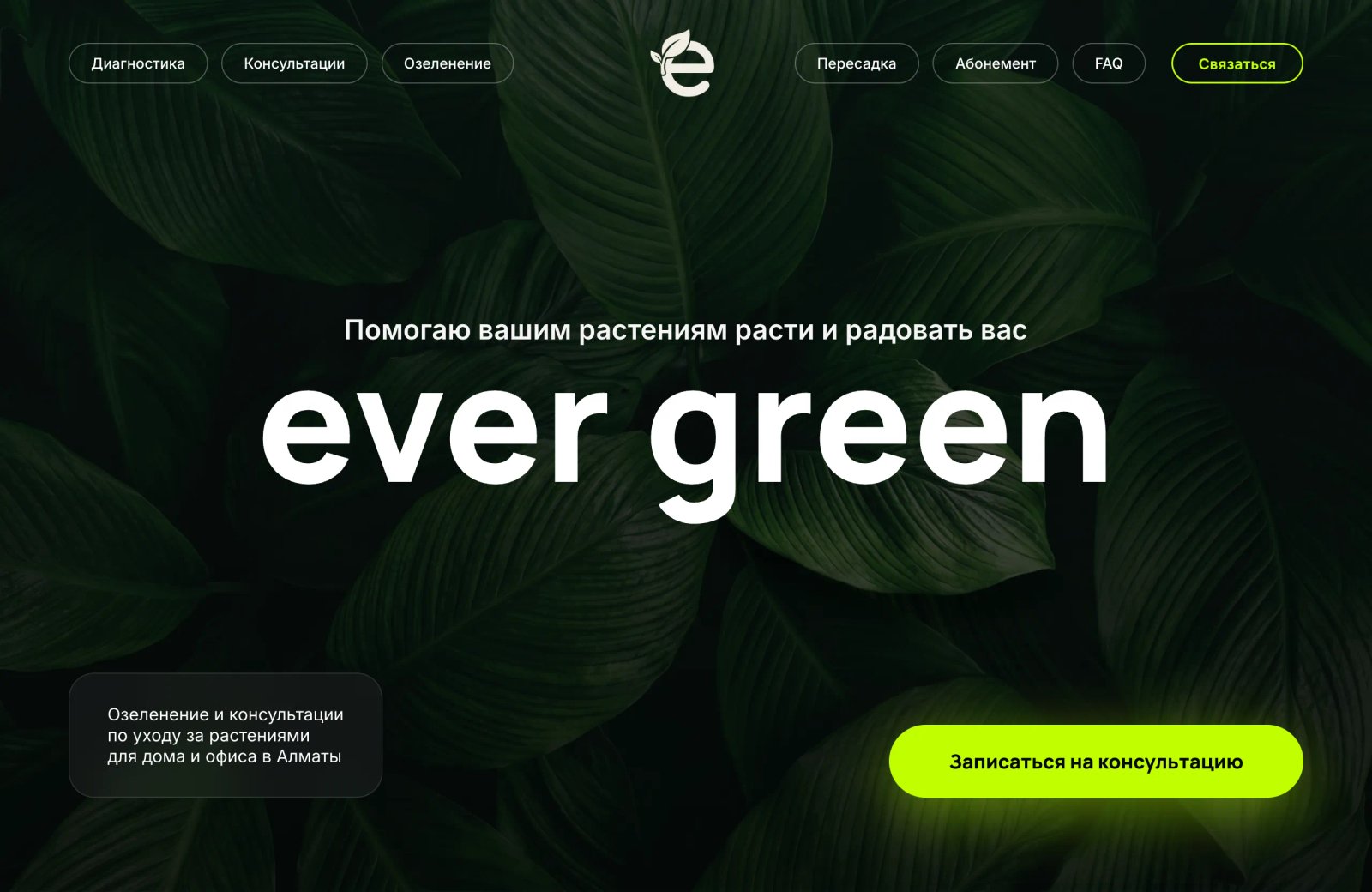 ever green