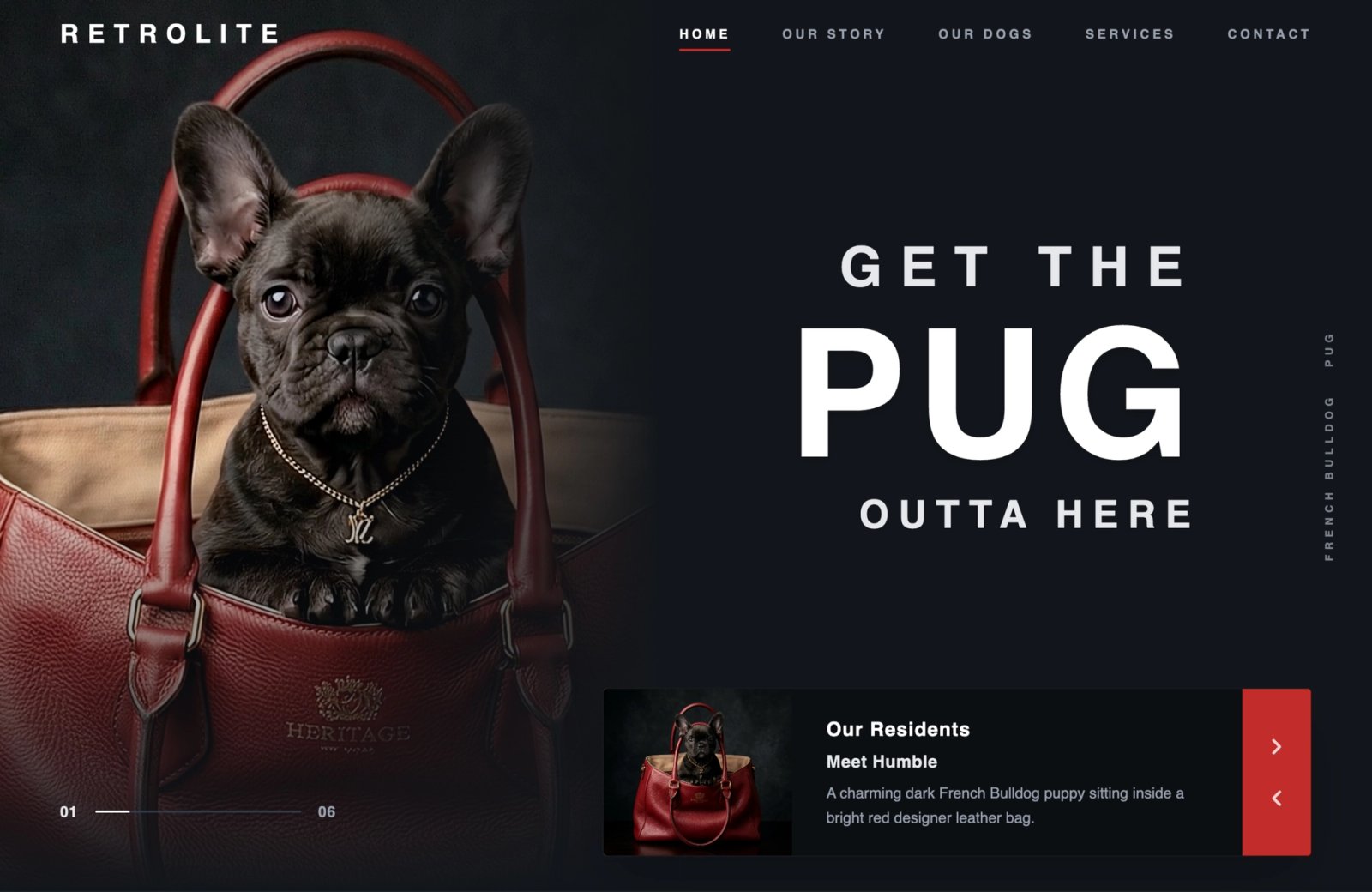 Retrolite – Luxus-Lederträger für Hunde