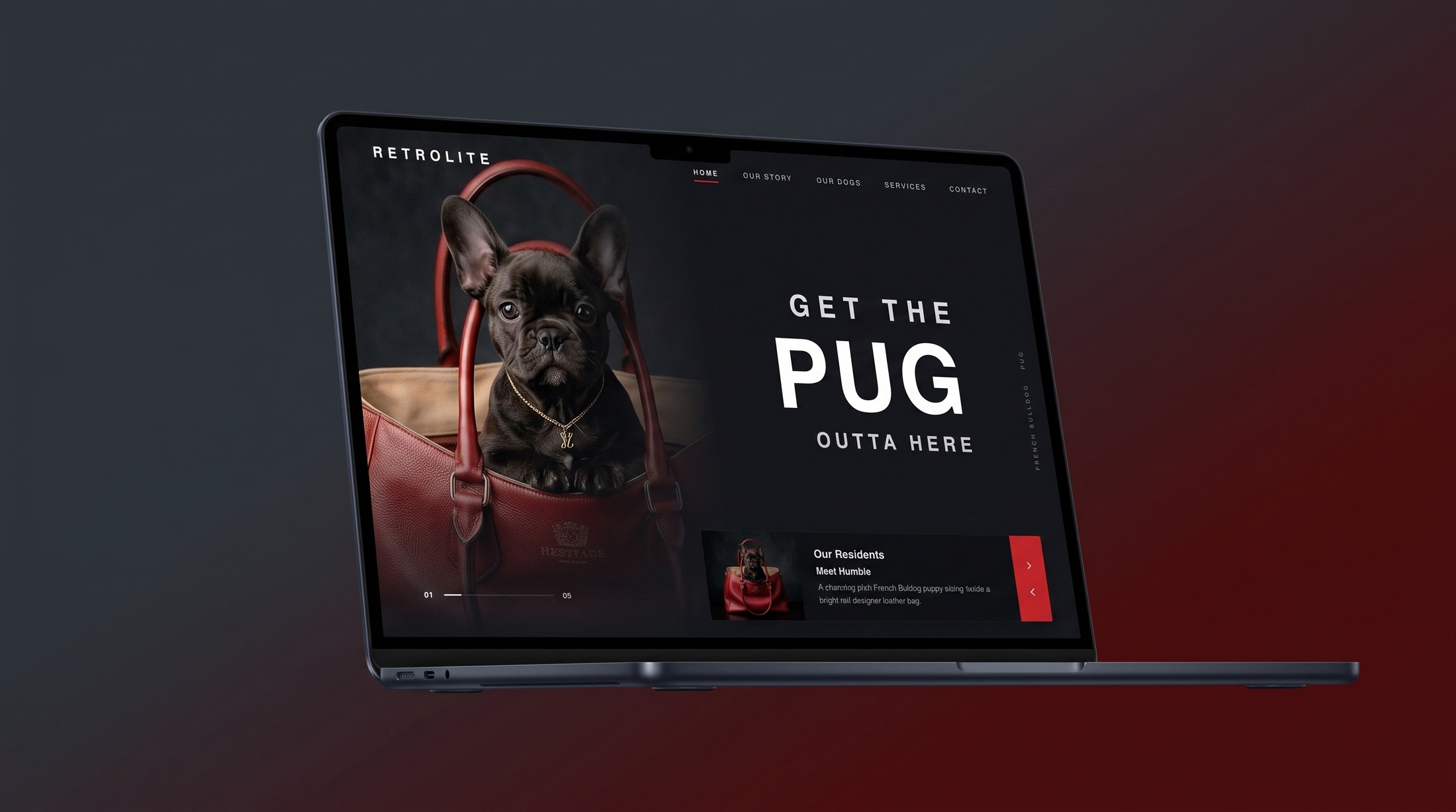 Retrolite – Luxus-Lederträger für Hunde Desktop Ansicht