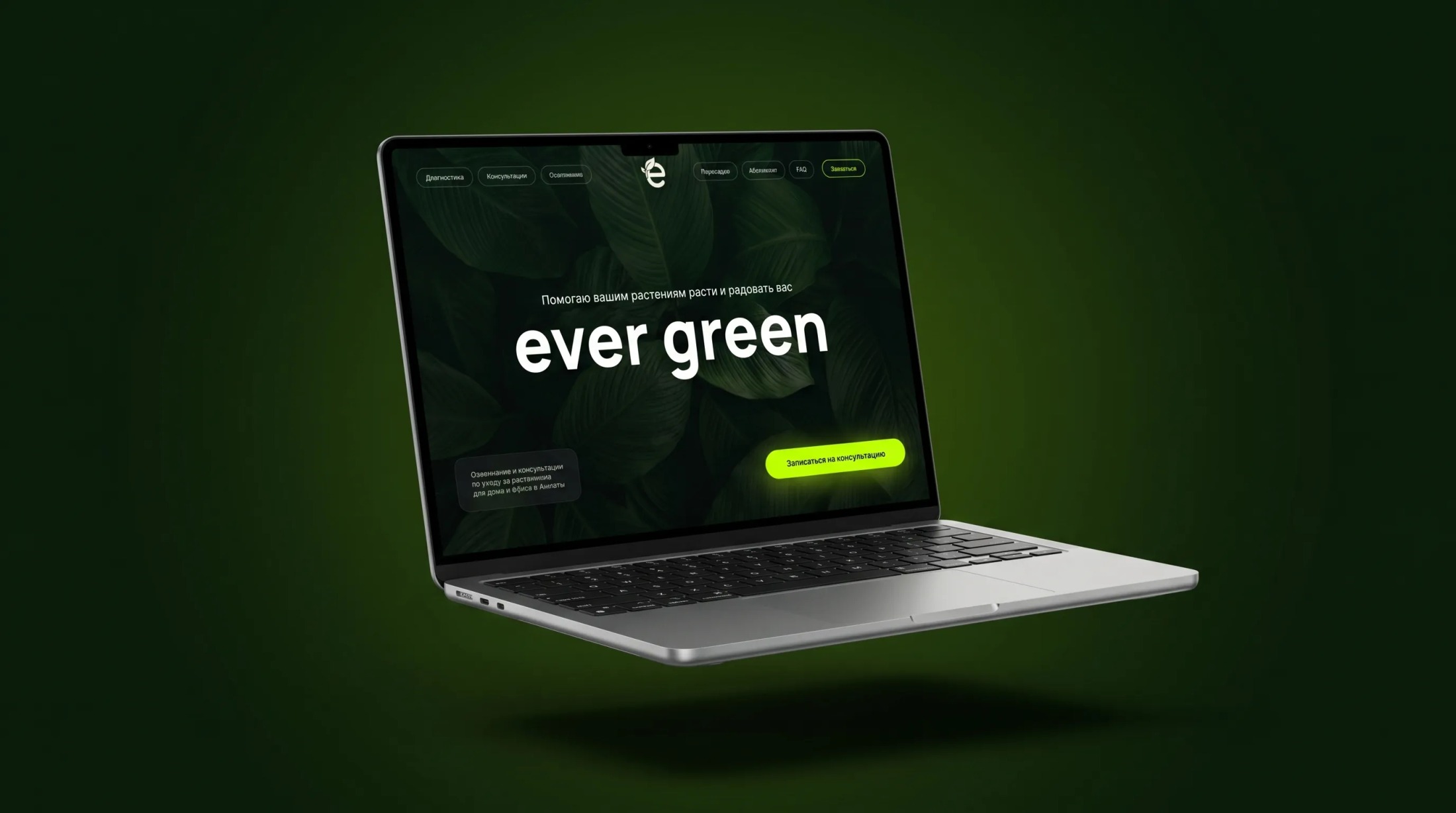 ever green Desktop Ansicht