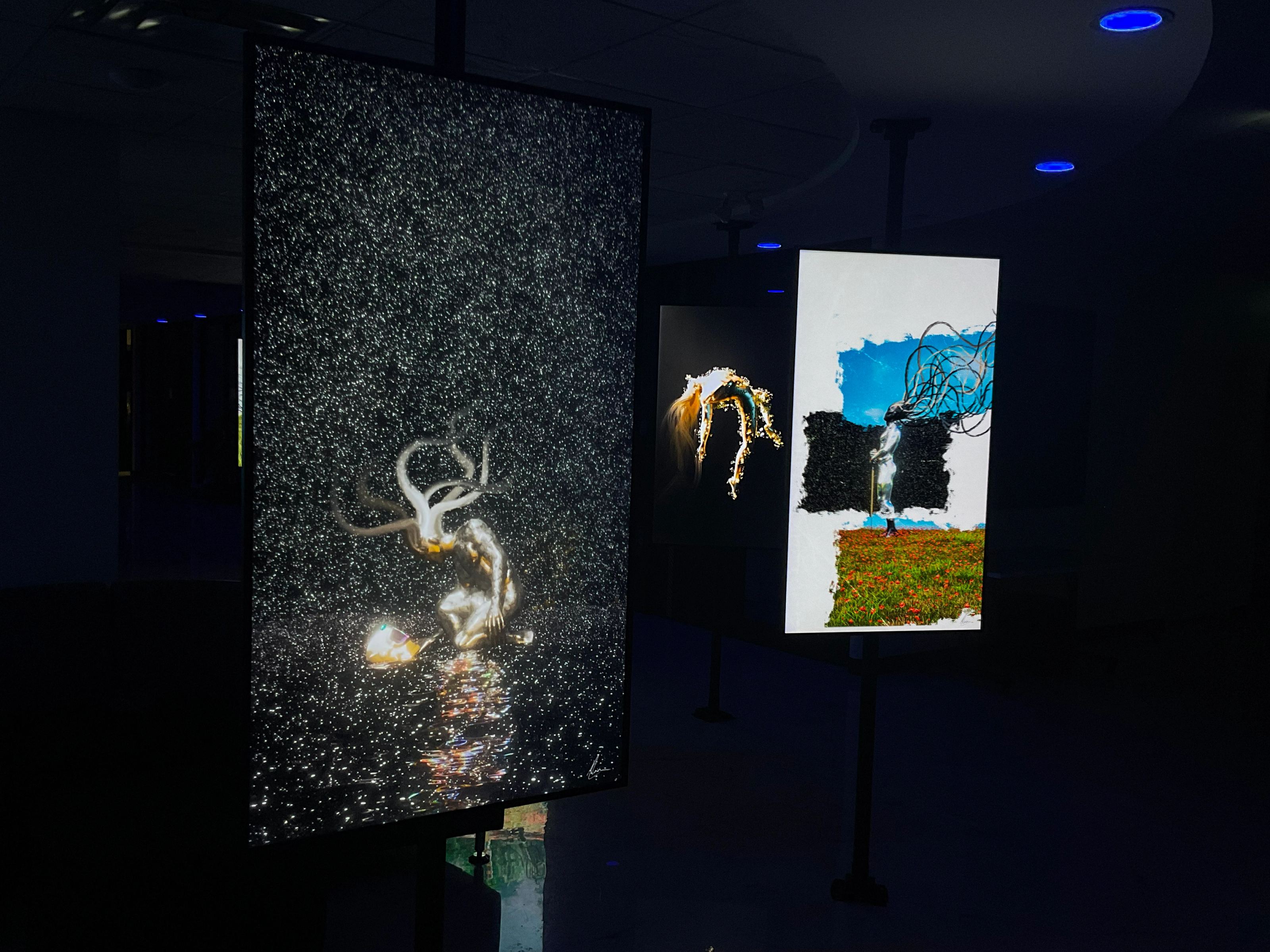 Suburbs Gallery exhibition view 10