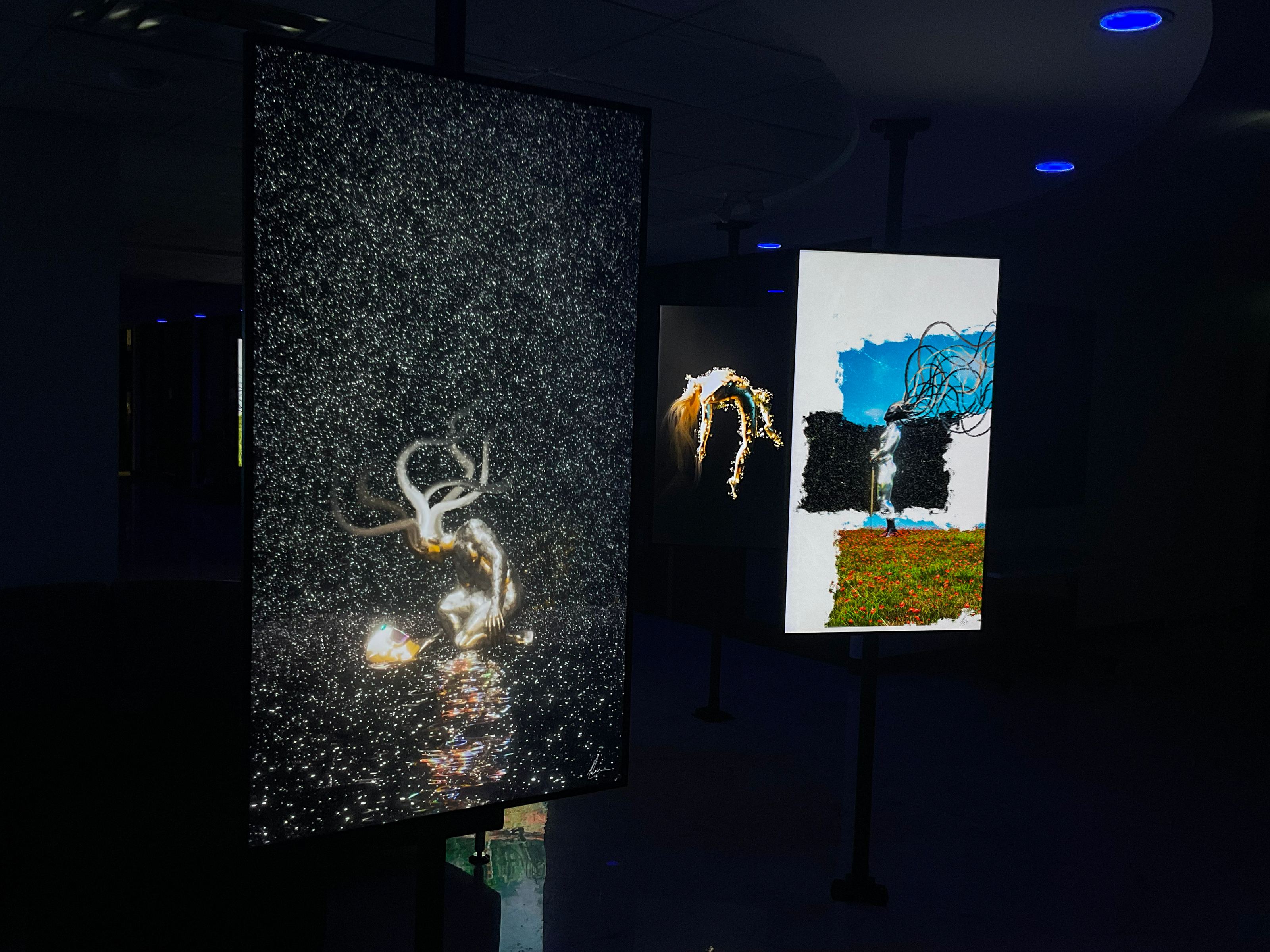 Suburbs Gallery exhibition view 10