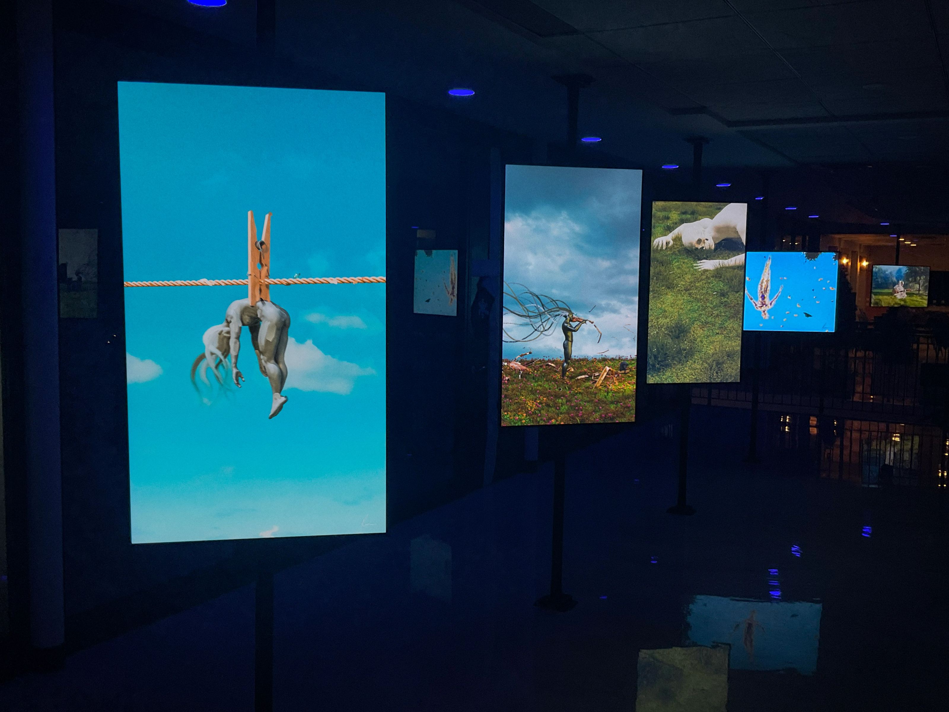 Suburbs Gallery exhibition view 8