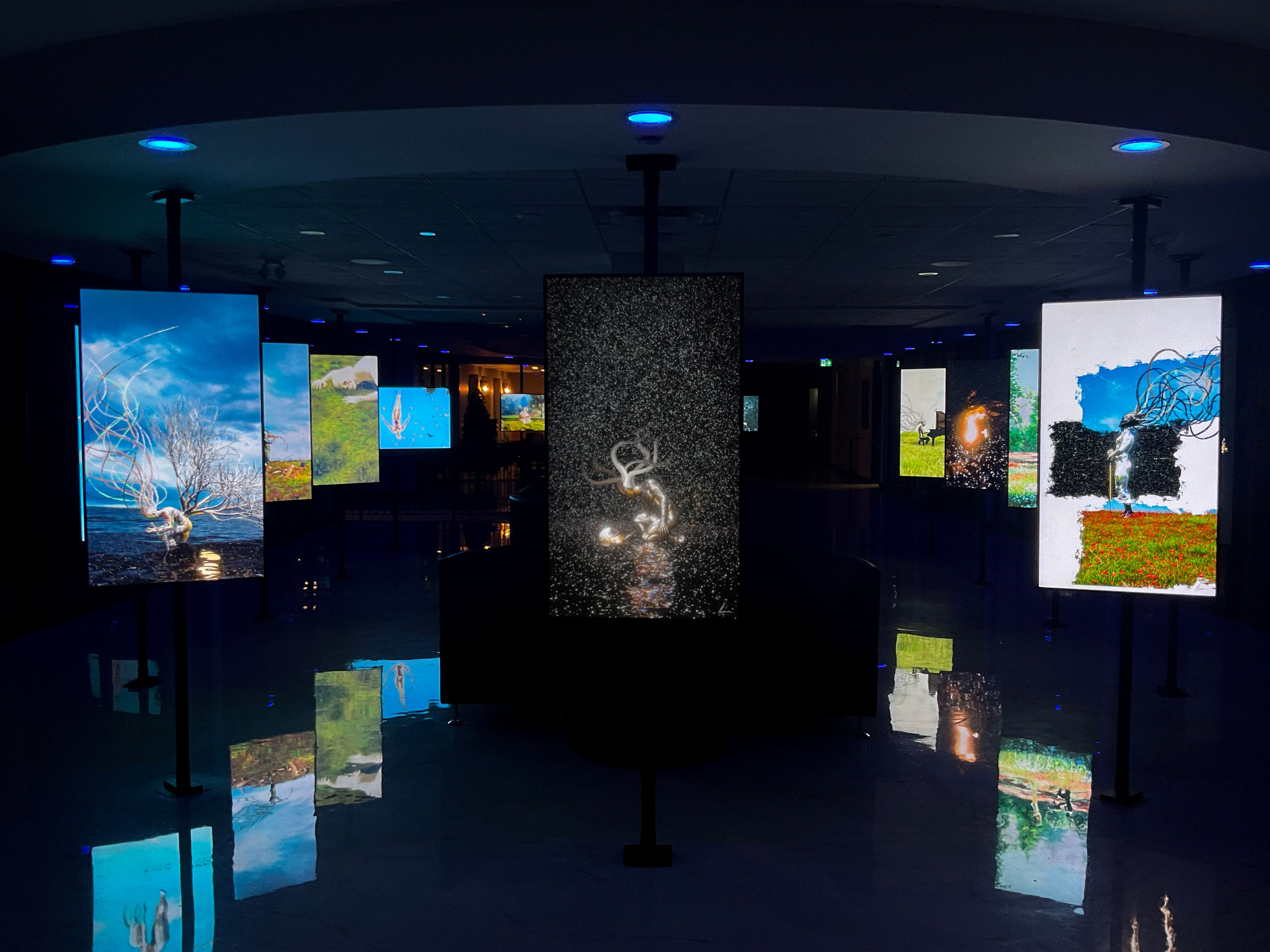Suburbs Gallery exhibition view 7