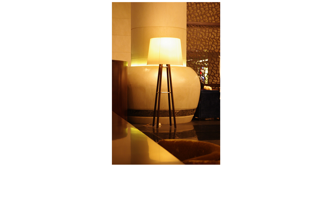 Modern Table & Floor Lamps
