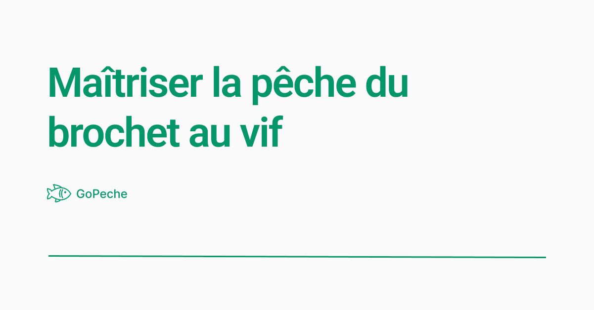 Maîtriser la pêche du brochet au vif