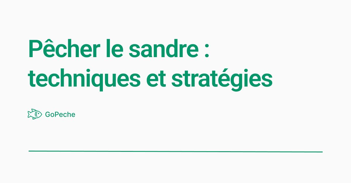 Pêcher le sandre : techniques et stratégies pour réussir toute l'année