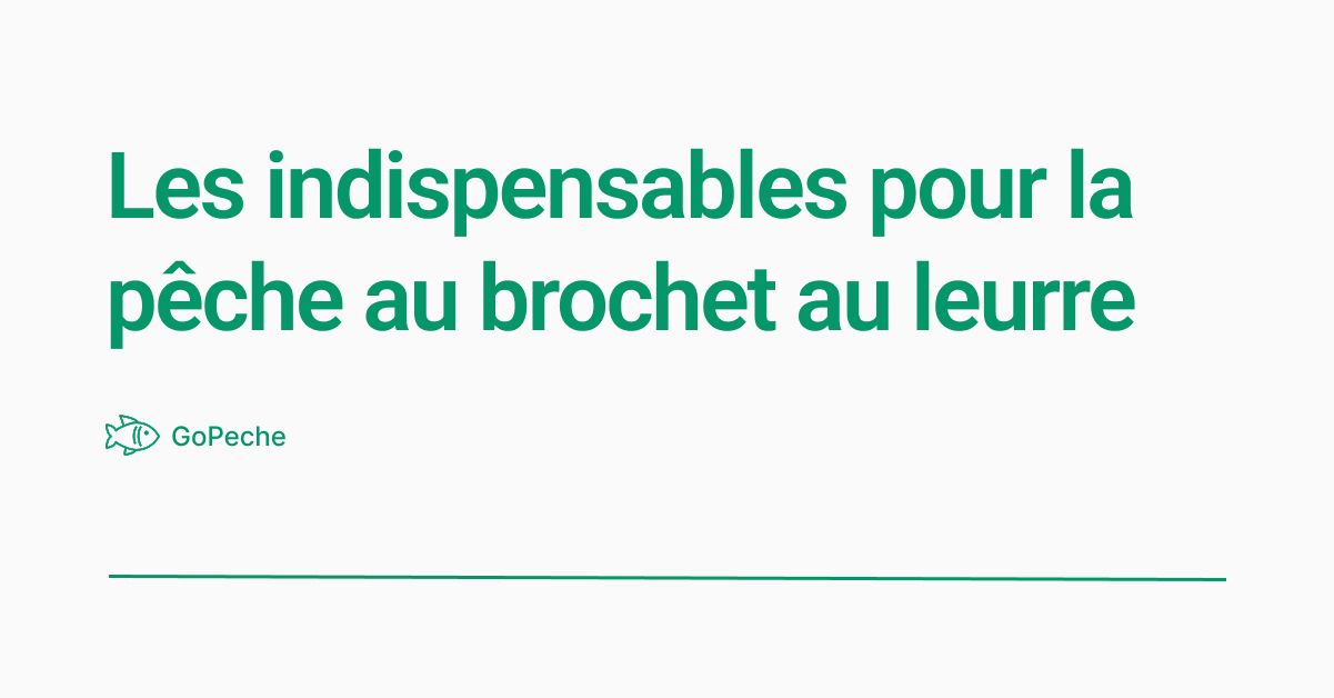 Les indispensables pour la pêche au brochet au leurre