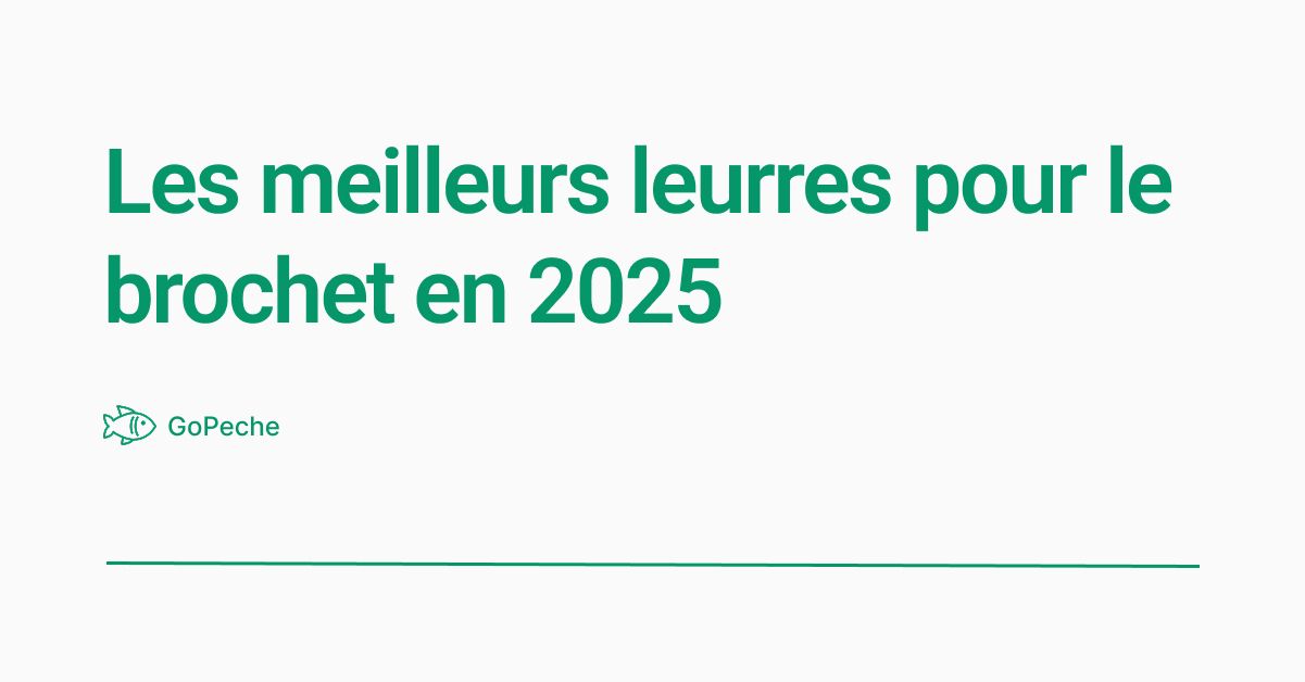 Les meilleurs leurres pour le brochet en 2025 : notre sélection