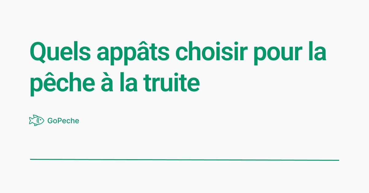 Quels appâts choisir pour la pêche à la truite