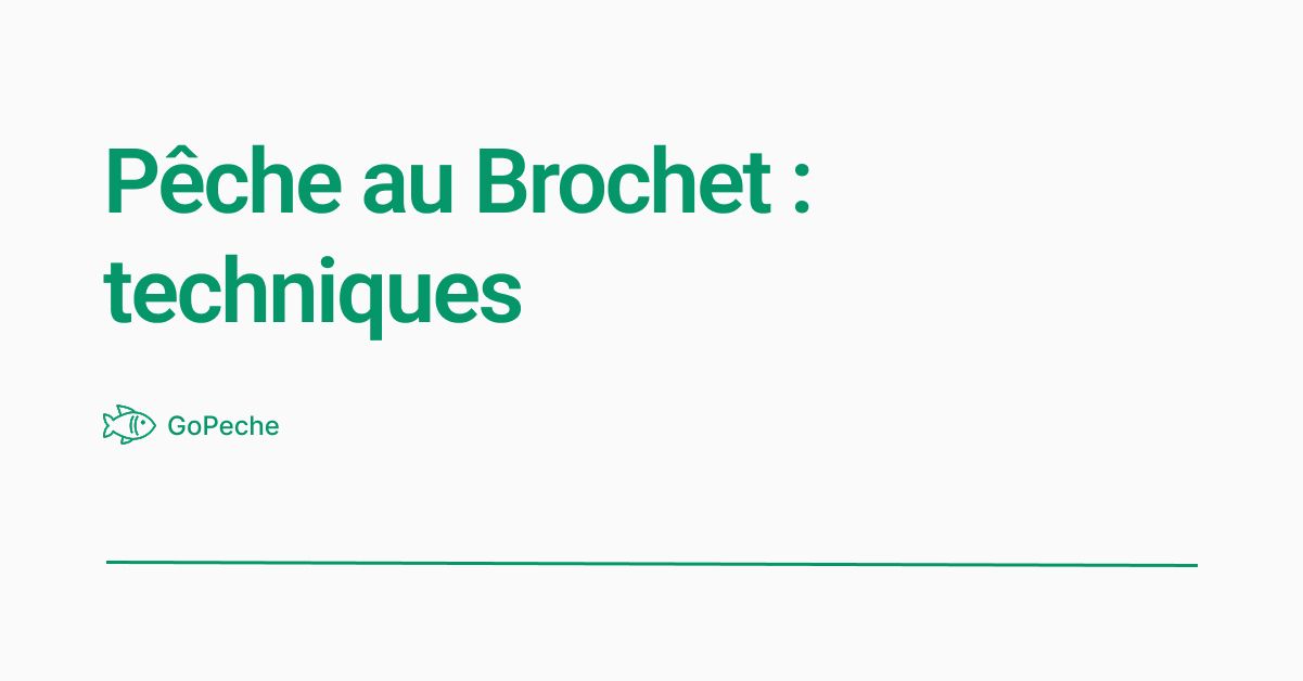Pêche au Brochet : techniques, leurres et meilleurs coins