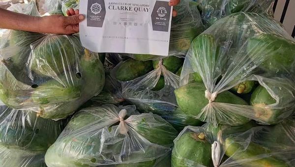 Service Project for Needy Families