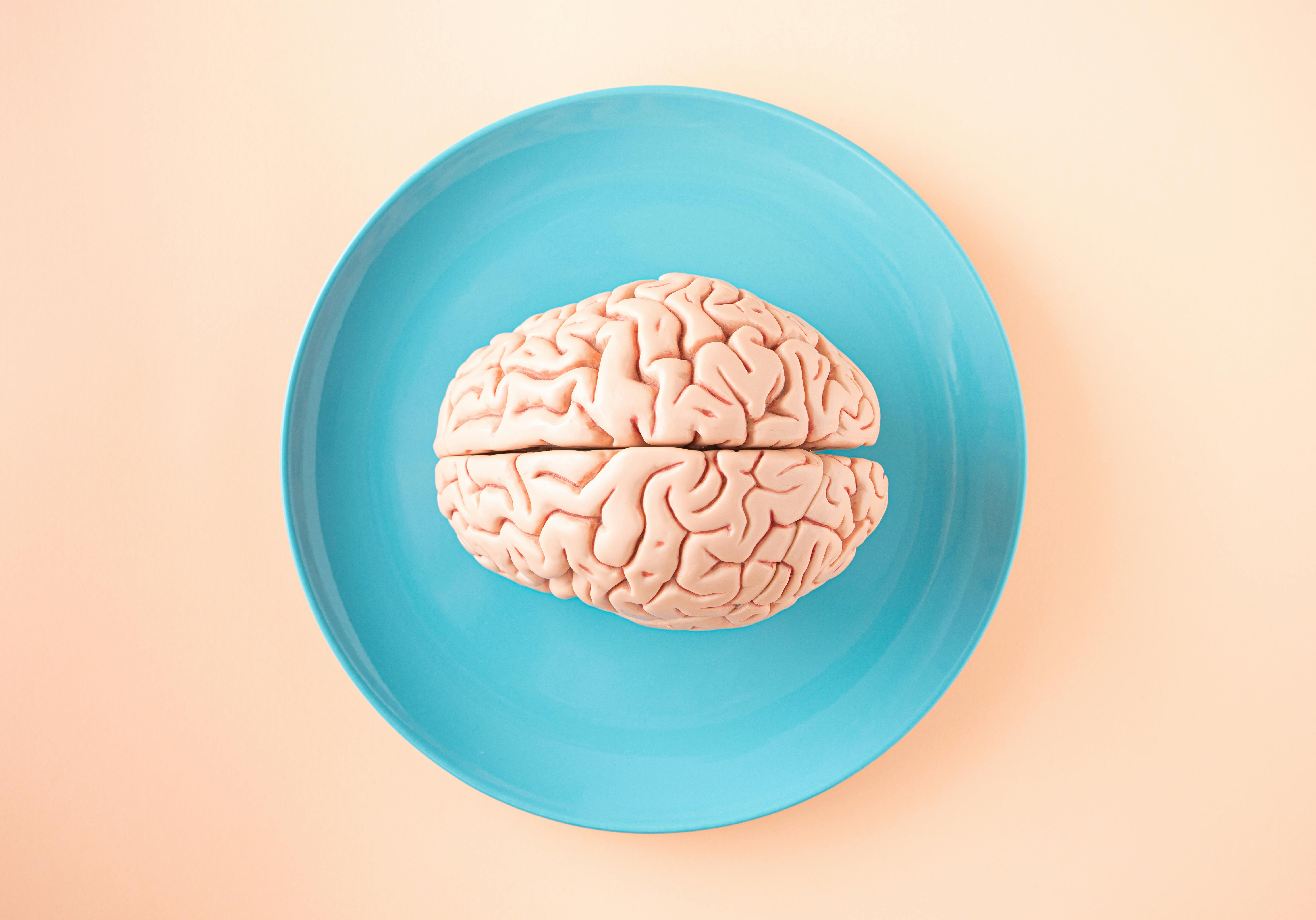 Featured image for Neuroplasticity: How the Brain Creates New Pathways to Recovery